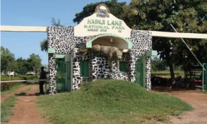 https://www.makeheritagefun.com/kainji-lake-national-park/