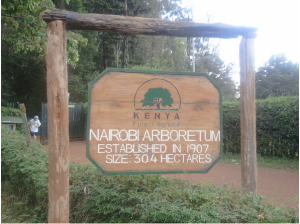 https://www.eastafricasafaristours.com/picnic-at-nairobi-arboretum/