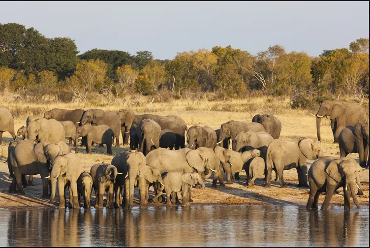 Tourist Attraction in Zimbabwe - Global Diversity Hub