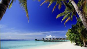 Maldive Beaches
