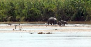 Rusizi National Park