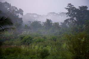 Sapo National Park