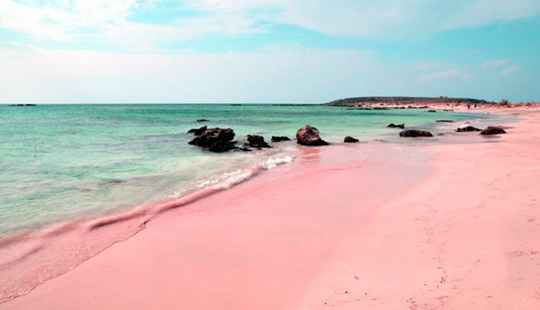 Pink Sand Beach in Harbour Island
