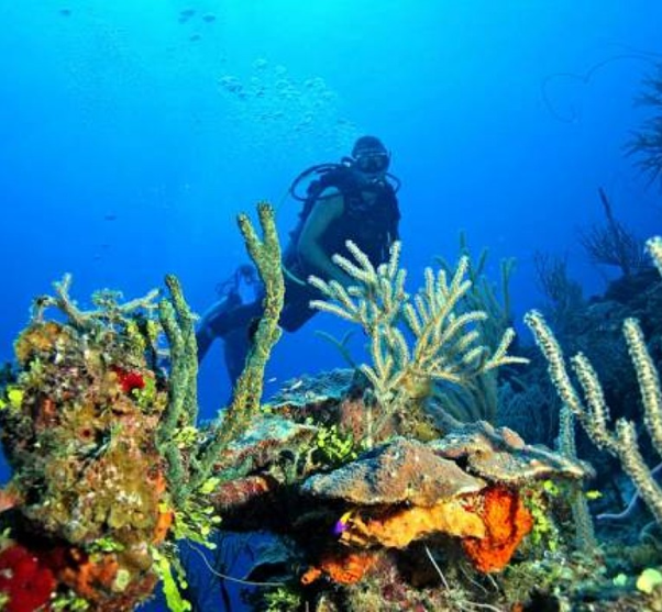 Andros Barrier Reef