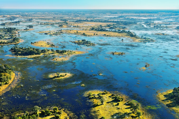 Okavango Delta: 