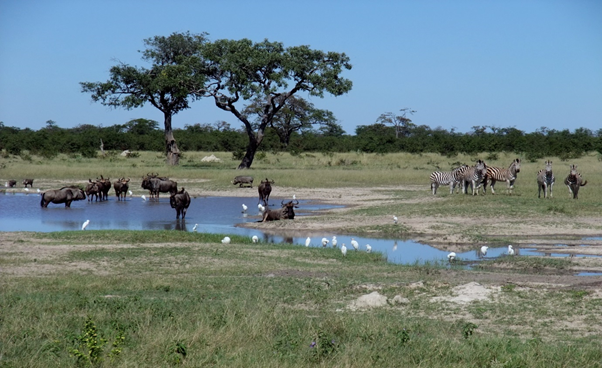 Chobe National Park