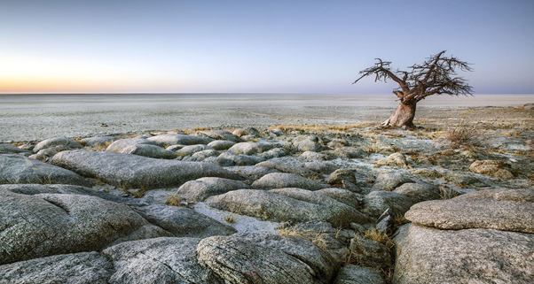 Makgadikgadi Pans