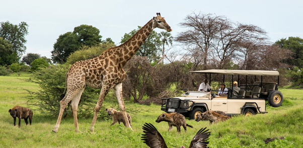 Moremi Game Reserve