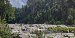 Moukalaba-Doudou National Park