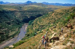 Pony Trekking