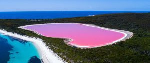 pink lake lac rose