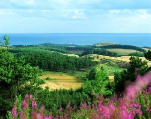 Mols Bjerge National Park