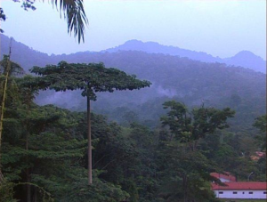 Monte Alén National Park