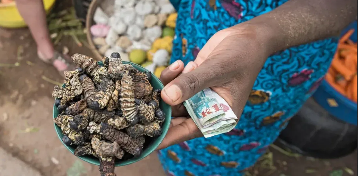 Ethnic Foods in Zambia