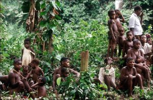 A Pygmy Community Residing in the Central African Rainforest