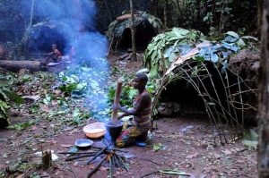 A Traditional Pygmy Settlement