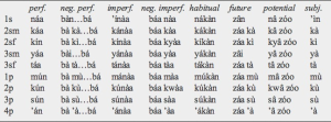 Grammar and Sentence Structure in Hausa Language